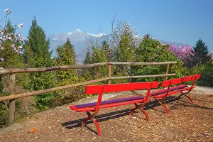 Lago: Magnolias Lago Maggiore - resting place with bright red benc