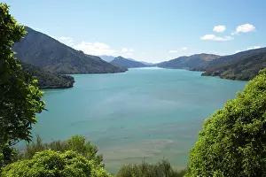 Marlborough: Mahakipawa Arm, Mahau Sound, Marlborough