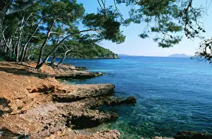 Majorca: MAJORCA - Bay of Pollensa (Pollenca)