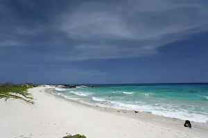 230518: Makalawena Beach, Kona Coast, Big Island of Hawaii