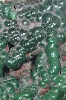 Globular: Malachite