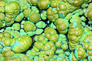 Minerals: Malachite, and chysocolla, Democratic Republic of