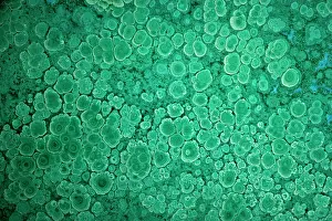Mined: Malachite mined from Bagdad Copper Mine in Bagdad