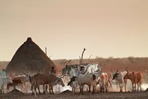 Labor: Malakal, village of Dinka ethnic group