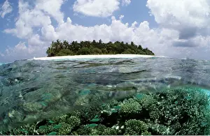 Level: MALDIVES - coral reef island in split-level view