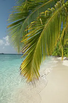 Kuda: Maldives, North Male Atoll, Island of Kuda