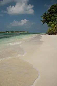 Negative: Maldives, North Male Atoll, Island of Kuda