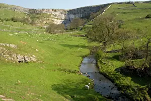 Malham: Malham Cove and the river issuing from it