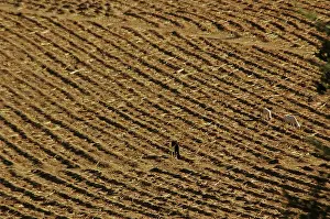 Lands: MALI, Dogon Lands. Overview of the plain