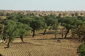 Lands: MALI, Dogon Lands. Overview of the plain