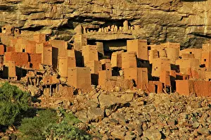 Lands: MALI, Dogon Lands. Traditional Tellem (malian