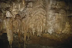 Mammoth: Mammoth Cave