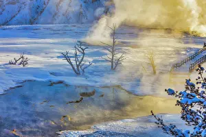 Mammoth: Mammoth Hot Springs in Yellowstone National Park