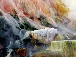 Mammoth: Mammoth hotspring