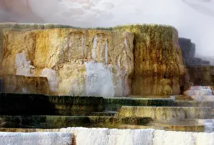 Mammoth: Mammoth hotspring