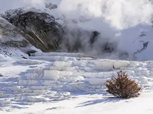 Mammoth: Mammoth Hotspring Yellowstone Nationale Park, U