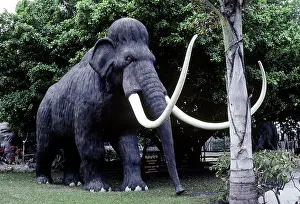 Mammoth: Mammoth reconstruction