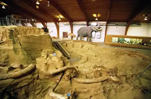 Mammoth: Mammoth Site Museum