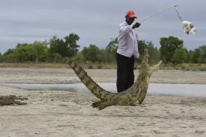 Attacks: Man attracting Crocodile with chicken Bazoule Burkina Faso