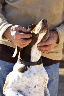 Wheedle: Man caressing his dog France