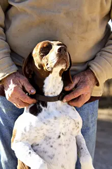 Cherished: Man caressing his dog France