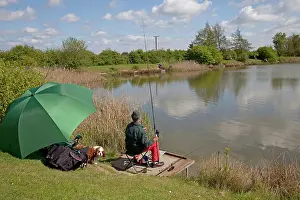Hobbies: Man carp fishing in lake in summer