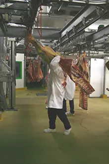 Shops: Man carrying a carcass of beef