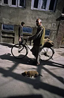 Bicycles: Man cycling and dog sleeping in the streets India