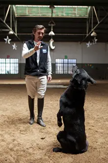 Buenos: Man drawing a dog in a horse therapy center - Argentine