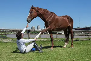 Training: Man drawing a horse in a horse therapy center