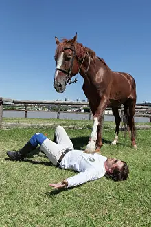 Training: Man drawing a horse in a horse therapy center