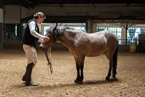Headcollar: Man drawing a horse in a horse therapy center - Argentina