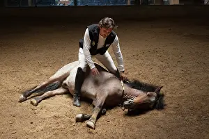 Headcollar: Man drawing a horse in a horse therapy center - Argentina
