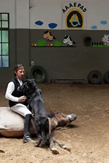 Headcollar: Man drawing a horse in a horse therapy center - Argentina