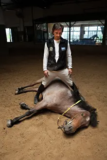 Headcollar: Man drawing a horse in a horse therapy center - Argentina