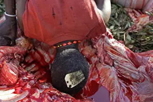 Connective: Man drinking blood during the Pokot Sapana Ceremony Kenya