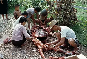 Victims: Man-eating Tiger