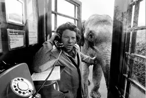 Curiosity: Man with elephant in a telephone booth, England