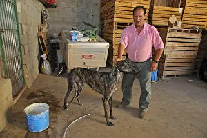 Attach: Man holding her firmly by the neck Galgo Spain