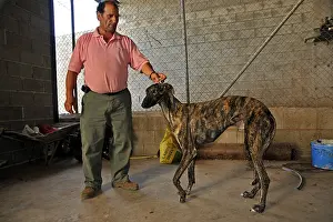 Attach: Man holding her firmly by the neck Galgo Spain