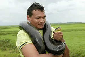 Murinus: Man holding Green ANACONDA - research