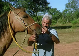 Examine: Man with Horse