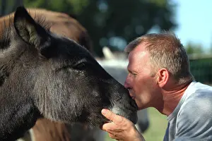 Asses: Man kissing a donkey - France