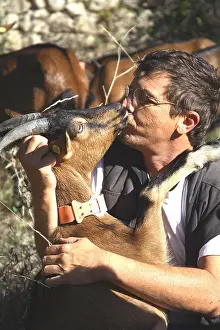 Licked: Man kissing a goat France