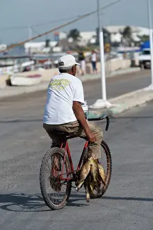 Bicycles: Man returning from fishing