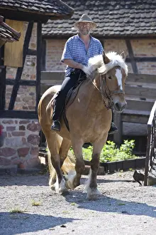 Headdress: Man riding a Comtois drought at Alsace Ecomuseum France