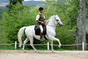 Obedience: Man riding Horse - training for Falconry