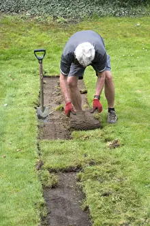 Rolls: Man rolling cut turf from lawn UK
