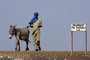 Scarf: Man taking his Ass to a water point Senegal