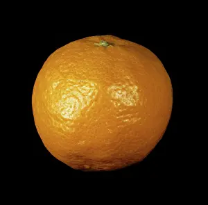 Kara: Mandarin Orange